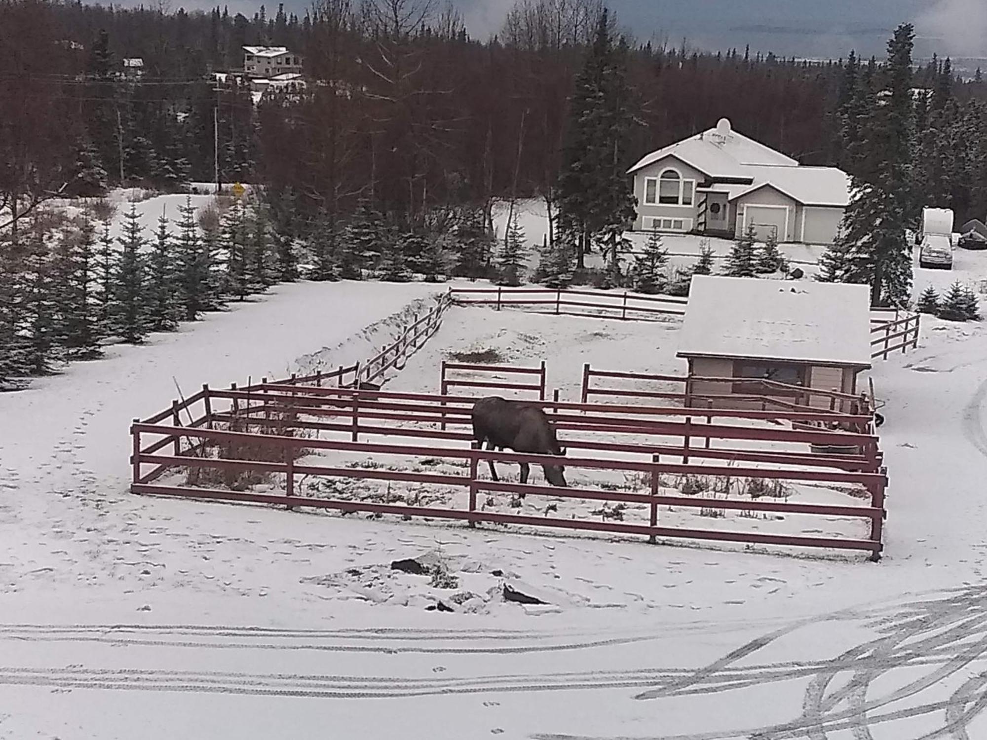 Alaska Sundance Retreat Bed & Breakfast Anchorage Buitenkant foto