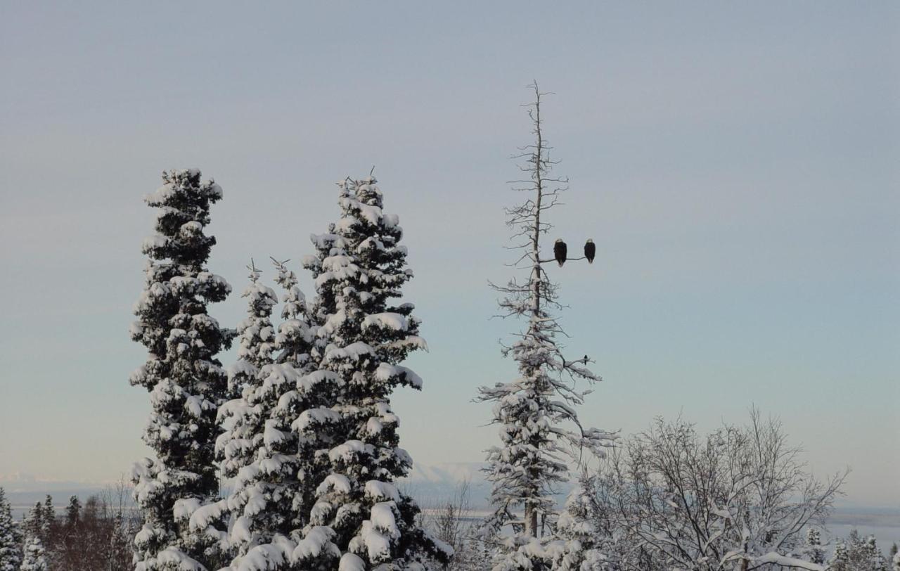 Alaska Sundance Retreat Bed & Breakfast Anchorage Buitenkant foto